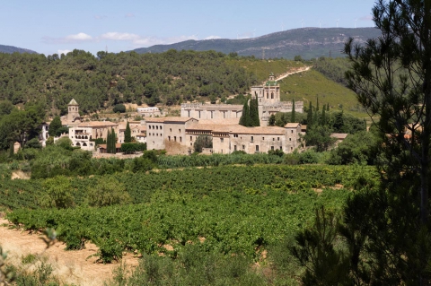 04603-view-of-the-royal-monastery-of-santes-creus-in-catalonia-spain Reial Monestir de Santes Creus