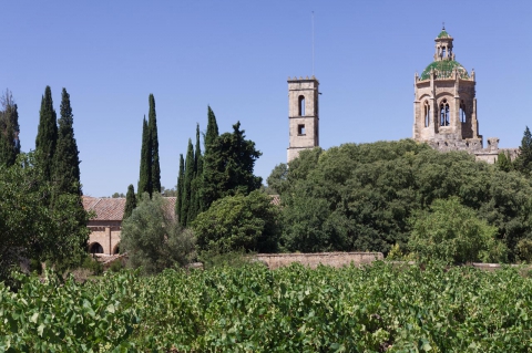 04604-the-romanesque-bell-tower-and-the-dome-of-the-monastery-of-santes-creus-catalonia Reial Monestir de Santes Creus