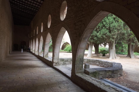 04631-another-view-of-the-romanesque-cloister-of-the-royal-monastery-of-santes-creus-catalonia Reial Monestir de Santes Creus