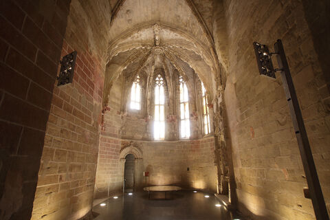 04938 Seu Vella (The Old Cathedral) of Lleida