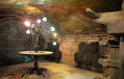 06239 Wine Cellar Codorniu
