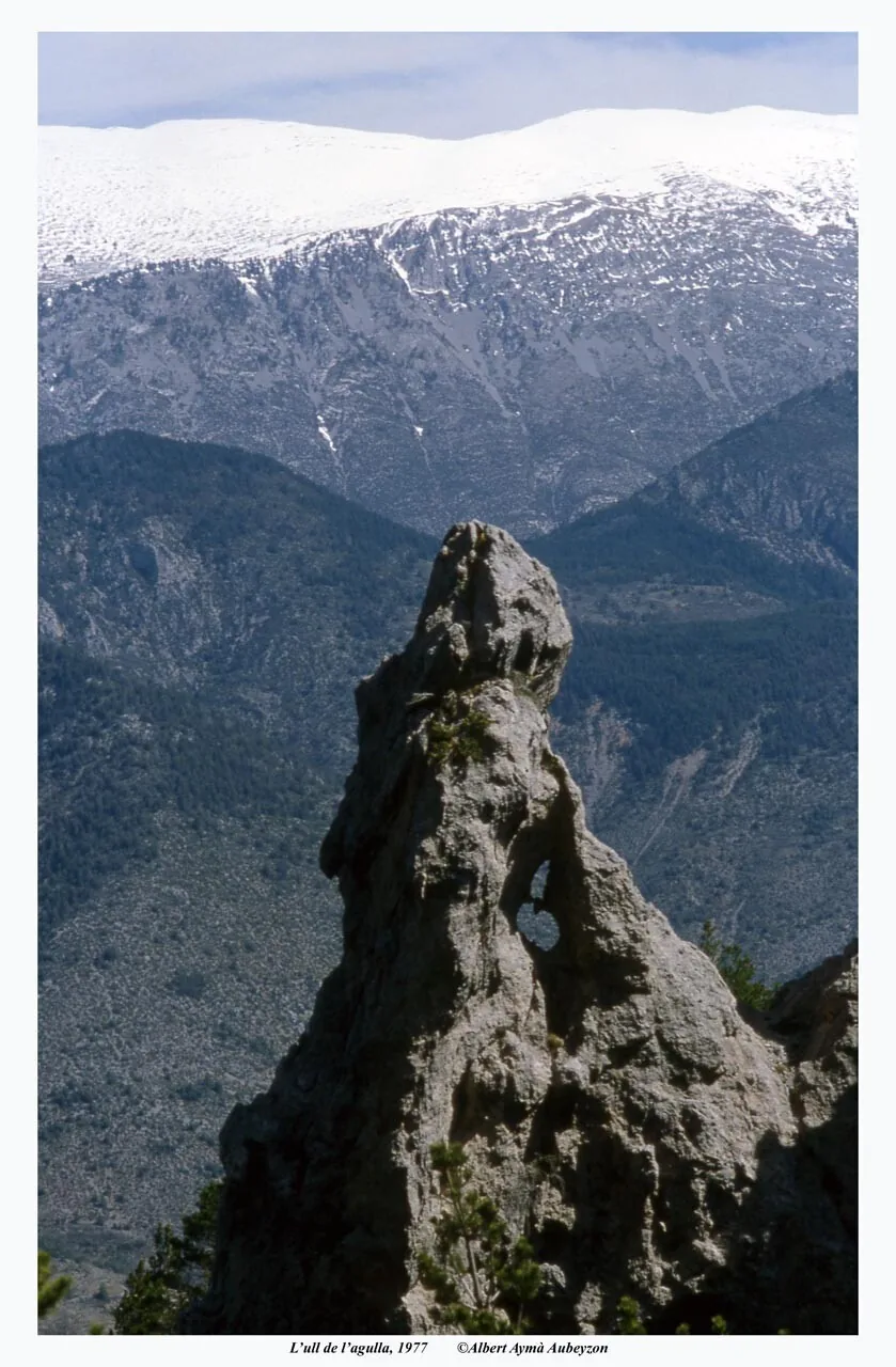 L'ull de l'agulla