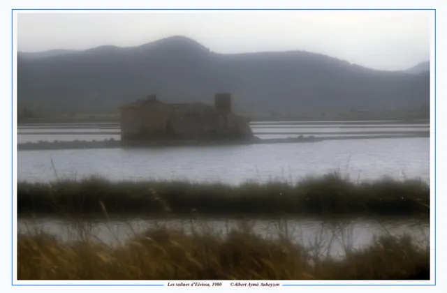 Salines d'Eivissa