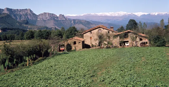 Masia de Pruit
