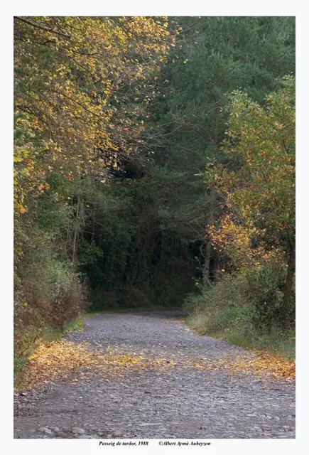 Passeig de tardor
