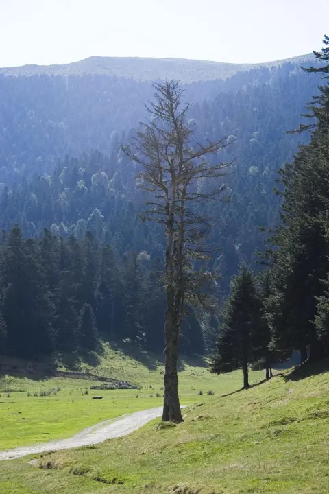 Alts Pirineus, Val Louron i llacs