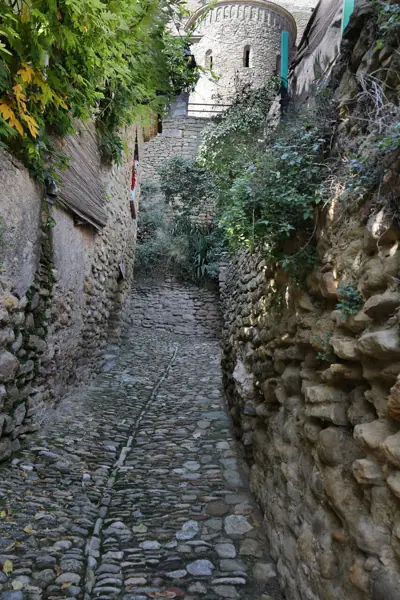 Castell i col·legiata (Àger) · 06121