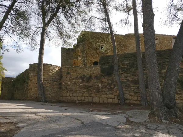 Castell i col·legiata (Àger) · 06168