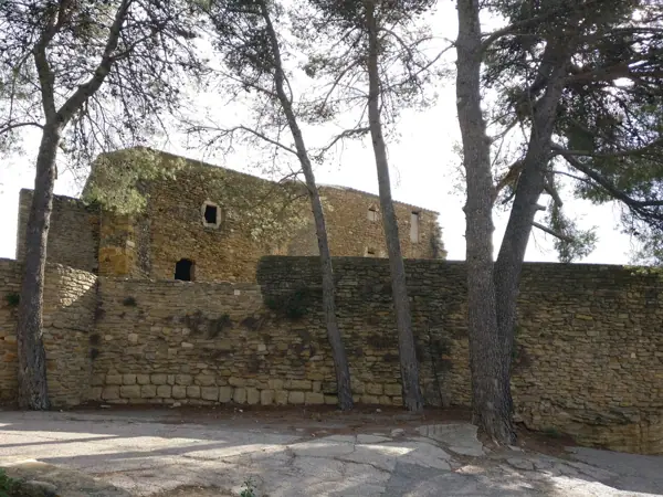 Castell i col·legiata (Àger) · 06169
