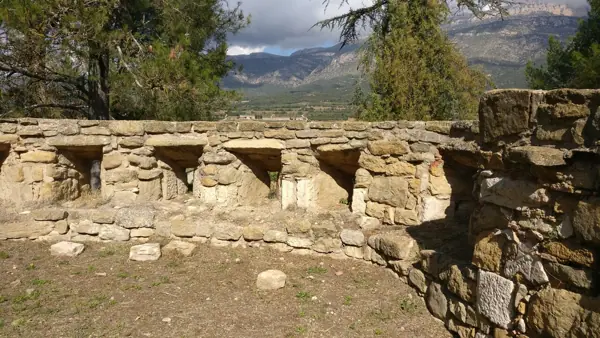 Castell i col·legiata (Àger) · 06172