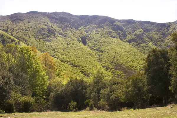 Aiguafreda i el massís del Montseny (Aiguafreda) · 00837