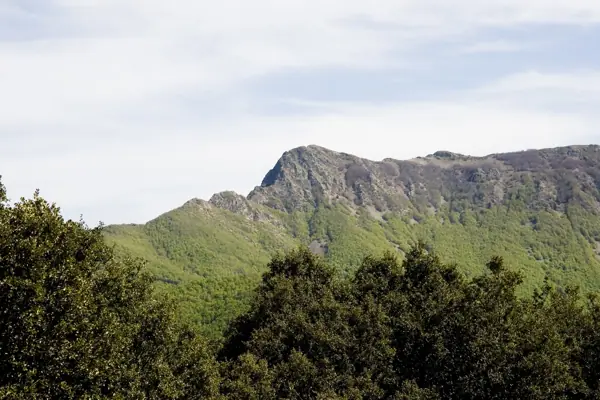 Aiguafreda i el massís del Montseny (Aiguafreda) · 00838