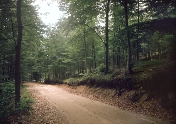 Aiguafreda i el massís del Montseny (Aiguafreda) · 01090