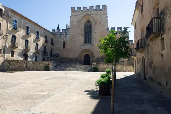 Reial Monestir de Santes Creus (Aiguamúrcia) · 04610