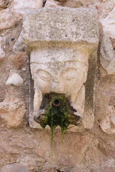 Reial Monestir de Santes Creus (Aiguamúrcia) · 04642