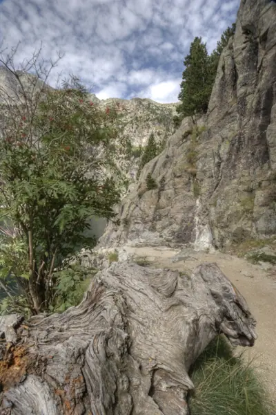 Parc Nacional (paisatges) (Aigüestortes) · 00540
