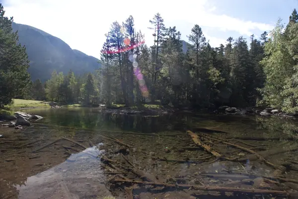 Parc Nacional (paisatges) (Aigüestortes) · 00563