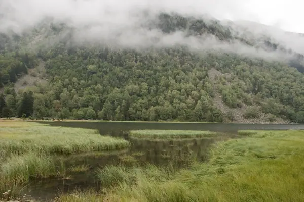 Parc Nacional (paisatges) (Aigüestortes) · 00554