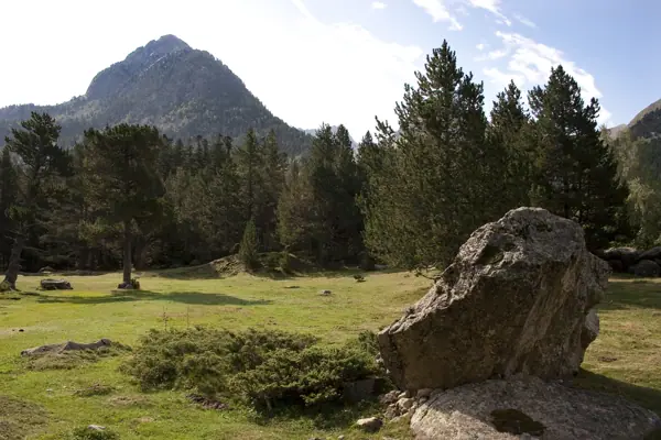 Parc Nacional (paisatges) (Aigüestortes) · 00562