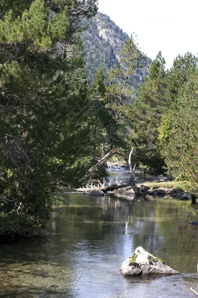 Parc Nacional (paisatges) (Aigüestortes) · 00565