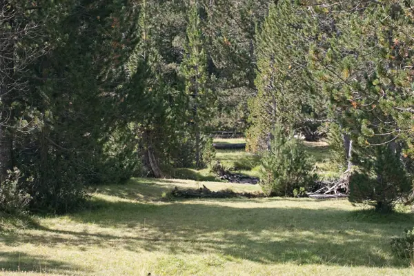 Parc Nacional (paisatges) (Aigüestortes) · 00566