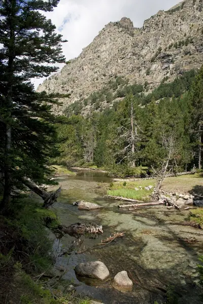 Parc Nacional (paisatges) (Aigüestortes) · 00569