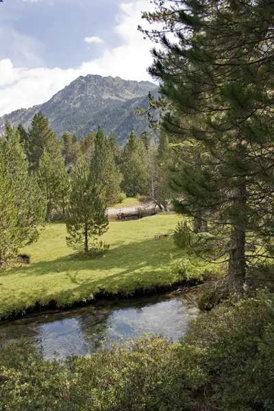 Parc Nacional (paisatges) (Aigüestortes) · 00570
