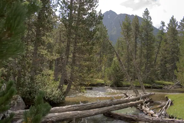 Parc Nacional (paisatges) (Aigüestortes) · 00574