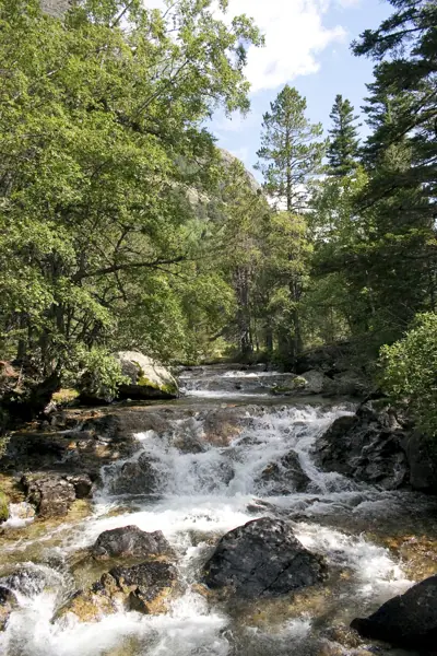Parc Nacional (paisatges) (Aigüestortes) · 00571