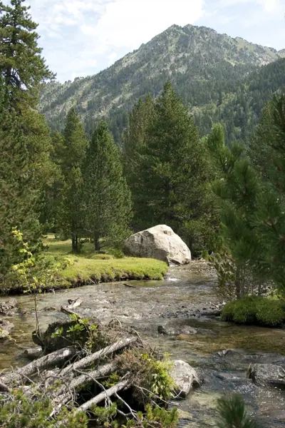 Parc Nacional (paisatges) (Aigüestortes) · 00575