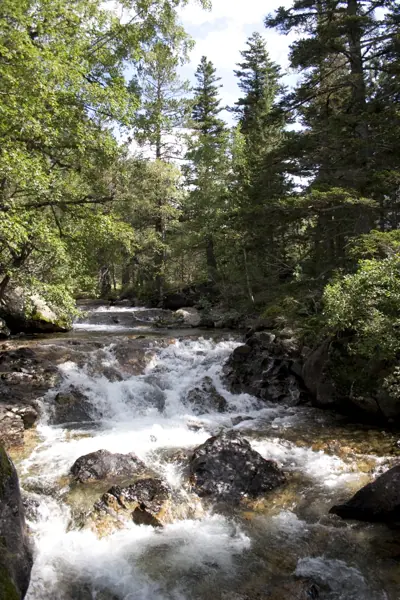 Parc Nacional (paisatges) (Aigüestortes) · 00572