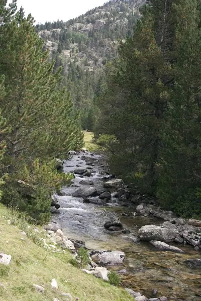 Parc Nacional (paisatges) (Aigüestortes) · 00577
