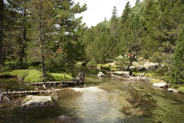 Parc Nacional (paisatges) (Aigüestortes) · 00573