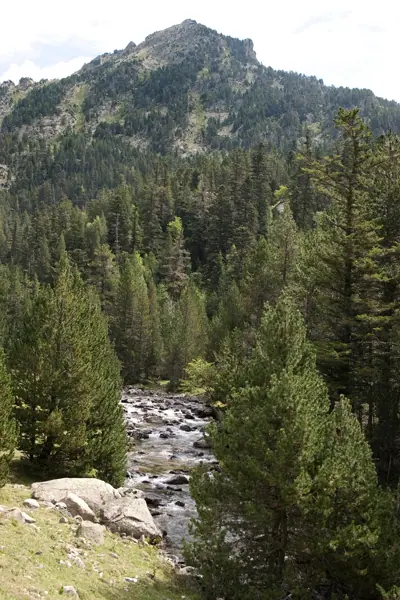 Parc Nacional (paisatges) (Aigüestortes) · 00578