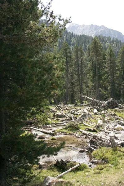Parc Nacional (paisatges) (Aigüestortes) · 00581