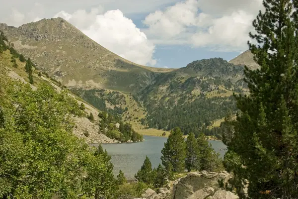 Parc Nacional (paisatges) (Aigüestortes) · 00585