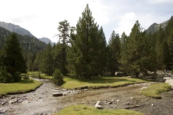 Parc Nacional (paisatges) (Aigüestortes) · 00583