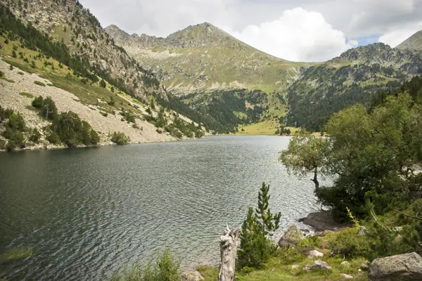 Parc Nacional (paisatges) (Aigüestortes) · 00586
