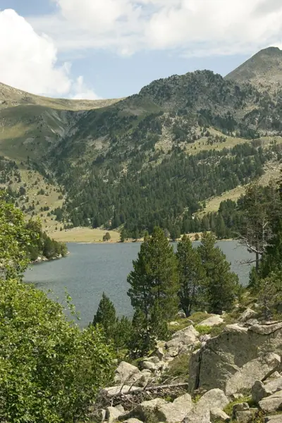 Parc Nacional (paisatges) (Aigüestortes) · 00584