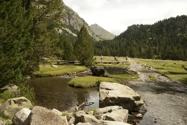 Parc Nacional (paisatges) (Aigüestortes) · 00582