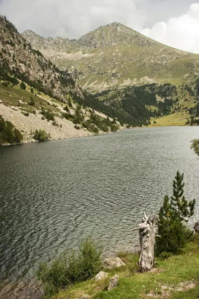 Parc Nacional (paisatges) (Aigüestortes) · 00587