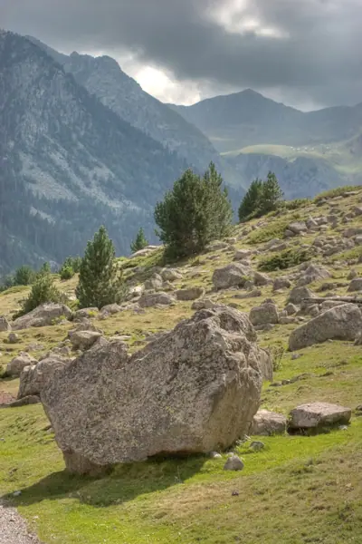 Parc Nacional (paisatges) (Aigüestortes) · 00591