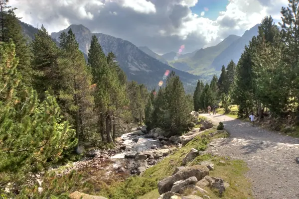 Parc Nacional (paisatges) (Aigüestortes) · 00593