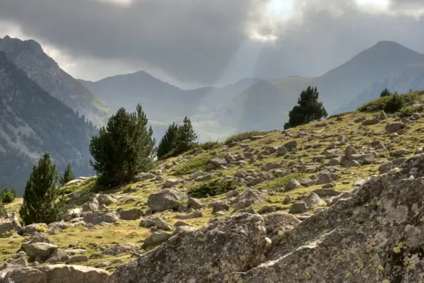 Parc Nacional (paisatges) (Aigüestortes) · 00592