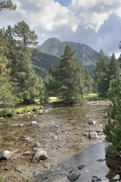 Parc Nacional (paisatges) (Aigüestortes) · 00594