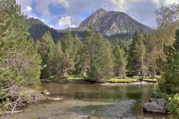 Parc Nacional (paisatges) (Aigüestortes) · 00595