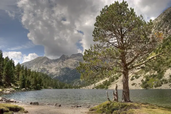 Parc Nacional (paisatges) (Aigüestortes) · 00589