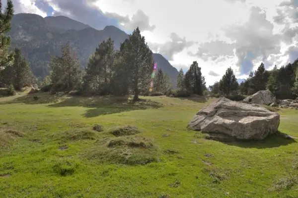 Parc Nacional (paisatges) (Aigüestortes) · 00598