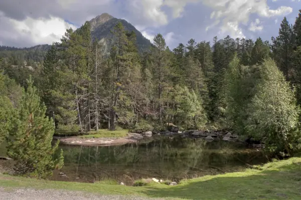 Parc Nacional (paisatges) (Aigüestortes) · 00597