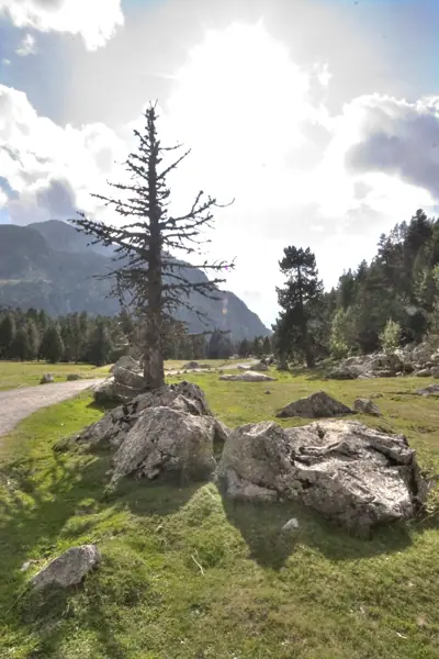 Parc Nacional (paisatges) (Aigüestortes) · 00596